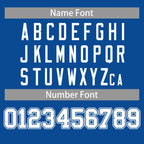 Custom Football Jersey Personalized Stitched/Printed Team Name Number for Men Women Youth