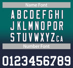 Custom Gradient Stitched Full Button Down Team Sport Uniforms Personalized Baseball Jersey