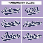 Custom Light Purple Navy-White Classic Style Varsity Full-Snap Letterman Jacket