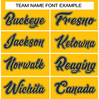 Custom Full Button Down Baseball Jersey Sports Team Uniforms