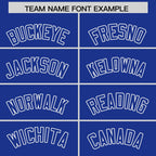 Custom Royal White Raglan Sleeves Varsity Full-Snap Letterman Two Tone Jacket Hoodie
