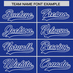 Custom Royal White Raglan Sleeves Varsity Full-Snap Letterman Two Tone Jacket Hoodie
