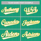 Custom Pinstripe Baseball Jerseys and Button-Down Shirts for Team Sports