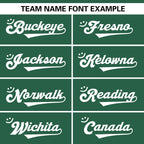 Custom Team Sports Stitched Football Jersey Personalized Practice Uniforms for Adults/Youth