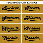 Custom Team Sports Stitched Football Jersey Personalized Practice Uniforms for Adults/Youth