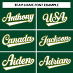 Custom Stitched Varsity Raglan Sleeves Letterman Baseball Jacket