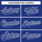Custom Stitched Varsity Raglan Sleeves Letterman Baseball Jacket