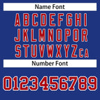 Custom Personalized Varsity Raglan Sleeves Letterman Baseball Jacket Stitched Name Number
