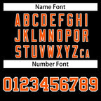 Custom Personalized Varsity Raglan Sleeves Letterman Baseball Jacket Stitched Name Number
