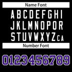 Custom Personalized Varsity Raglan Sleeves Letterman Baseball Jacket Stitched Name Number