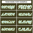 Custom Fashion Varsity Baseball Jacket for Men Women Youth Stitched Name Number