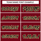 Custom Fashion Varsity Baseball Jacket for Men Women Youth Stitched Name Number