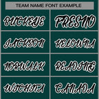 Custom Fashion Varsity Baseball Jacket for Men Women Youth Stitched Name Number