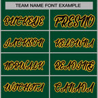 Custom Fashion Varsity Baseball Jacket for Men Women Youth Stitched Name Number
