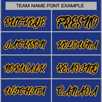 Custom Fashion Varsity Baseball Jacket for Men Women Youth Stitched Name Number