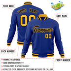 Custom Fashion Varsity Baseball Jacket for Men Women Youth Stitched Name Number