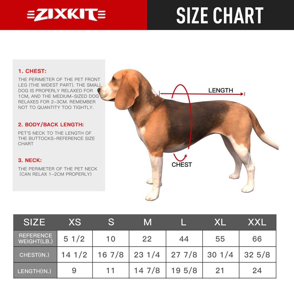 A size chart diagram for dog jerseys, showing a beagle dog with red arrows indicating chest, body, and neck measurements, alongside a size table from XS to XXL with weight and length references.
